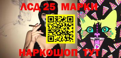 мяу мяу мука Малоярославец
