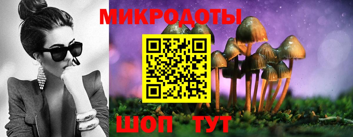Черняховск  наркота  Вход с VPN  Псилоцибиновые грибы прущие грибы 